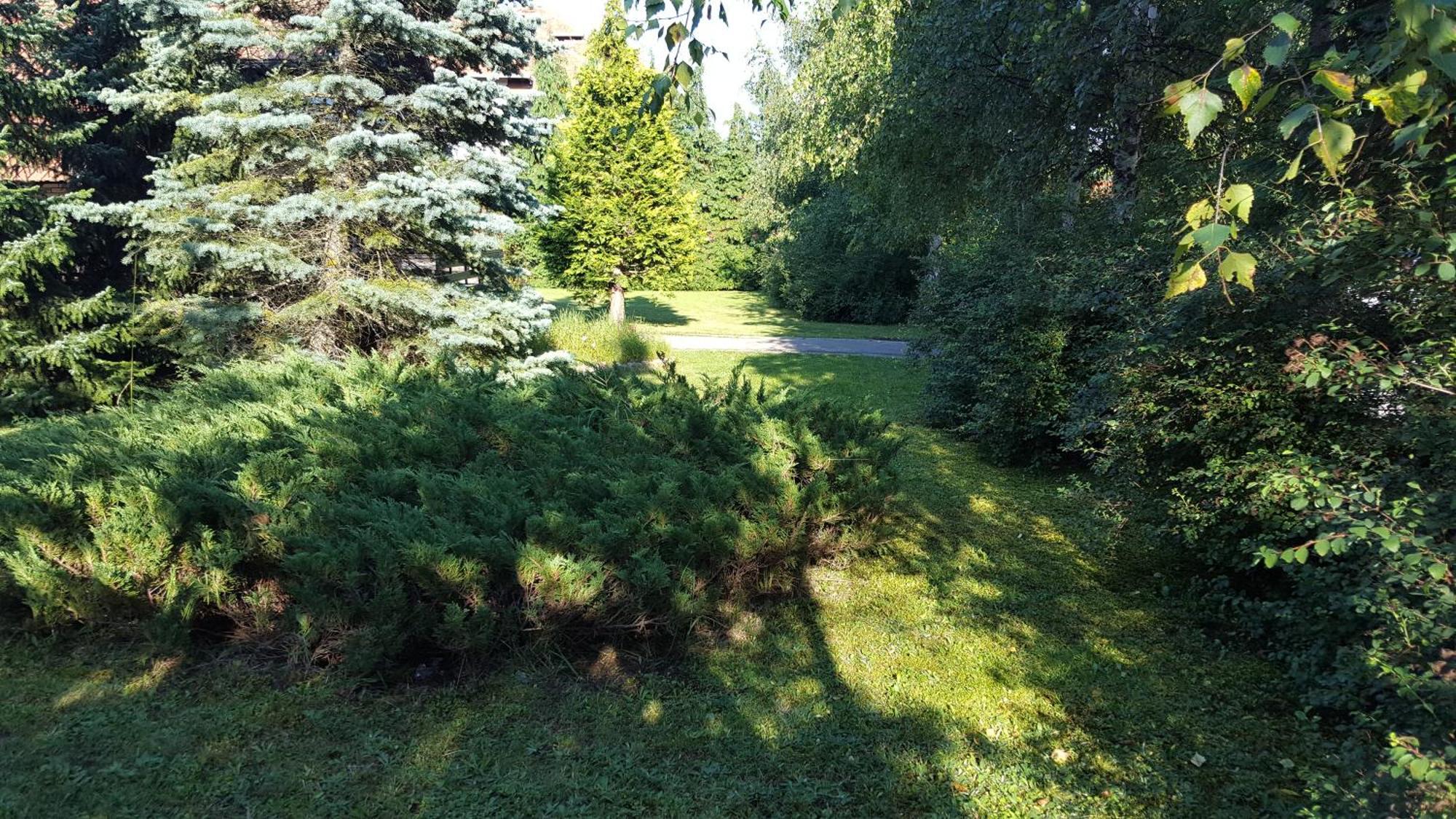 Holiday Home Vila Tejic Zlatibor Extérieur photo