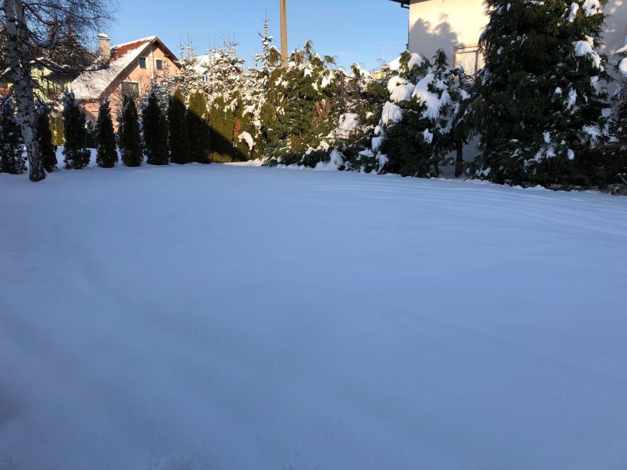 Holiday Home Vila Tejic Zlatibor Extérieur photo