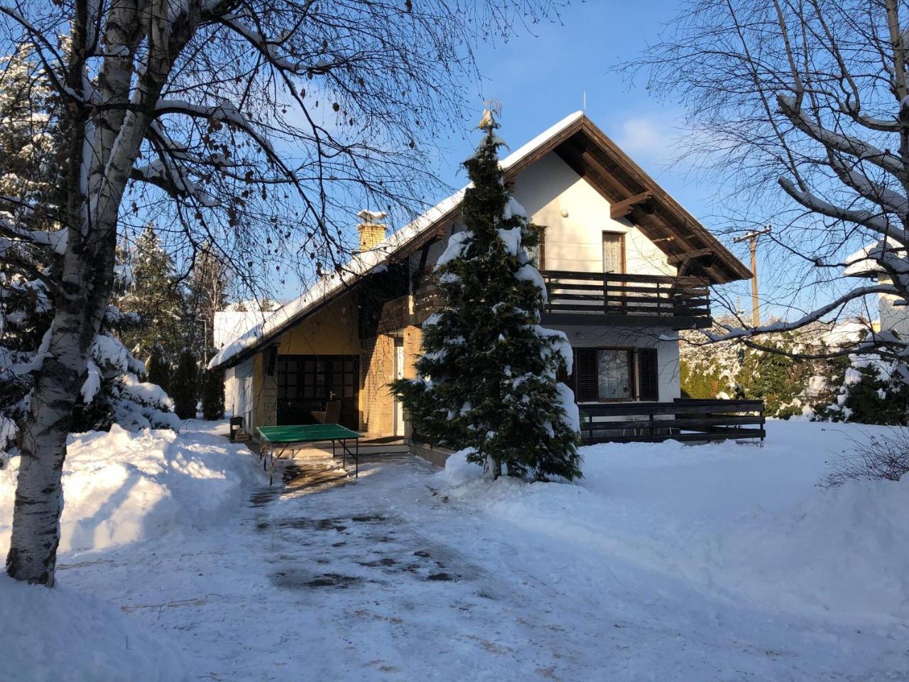 Holiday Home Vila Tejic Zlatibor Extérieur photo