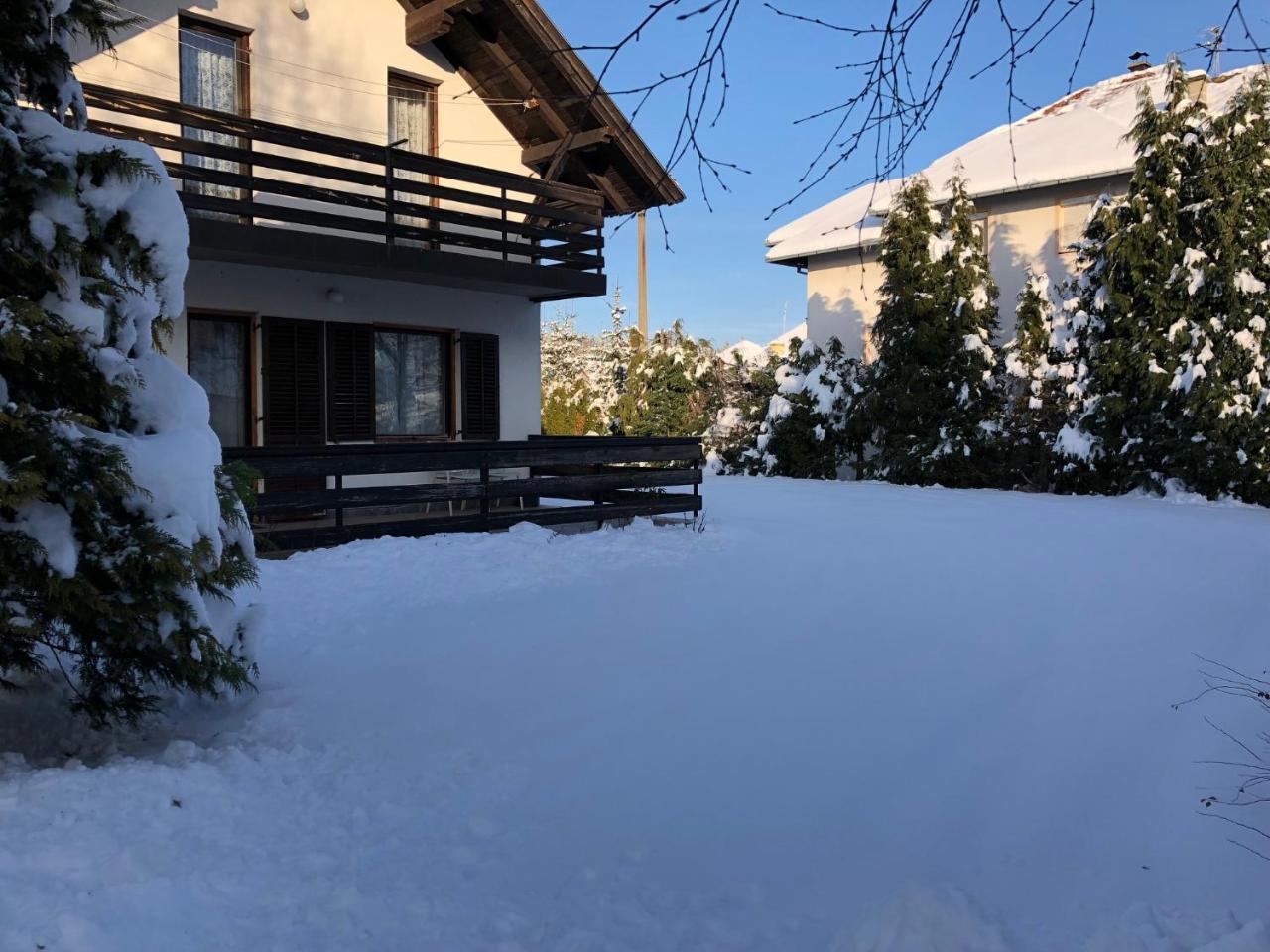Holiday Home Vila Tejic Zlatibor Extérieur photo