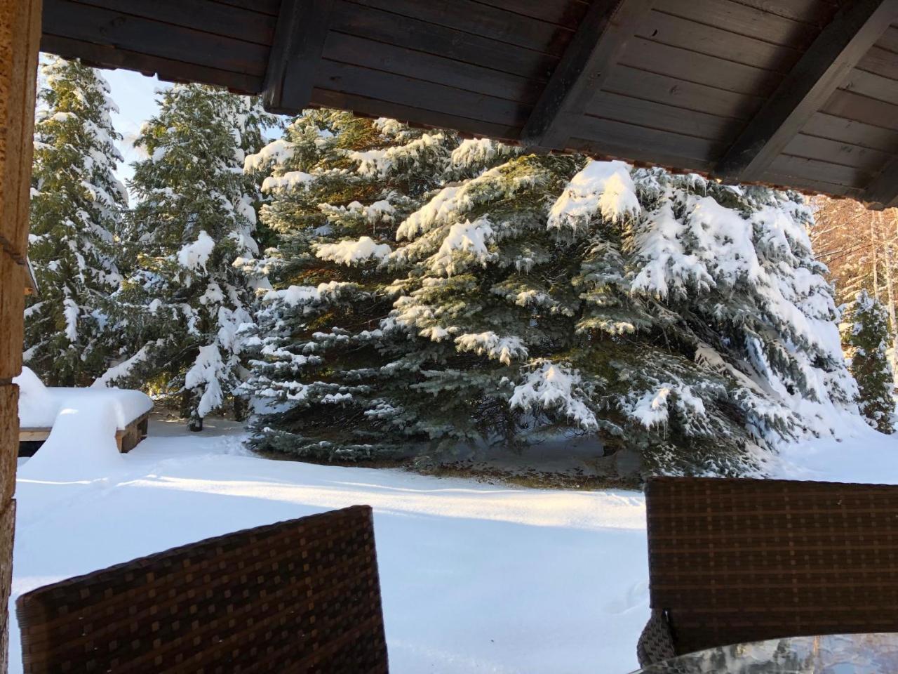Holiday Home Vila Tejic Zlatibor Extérieur photo