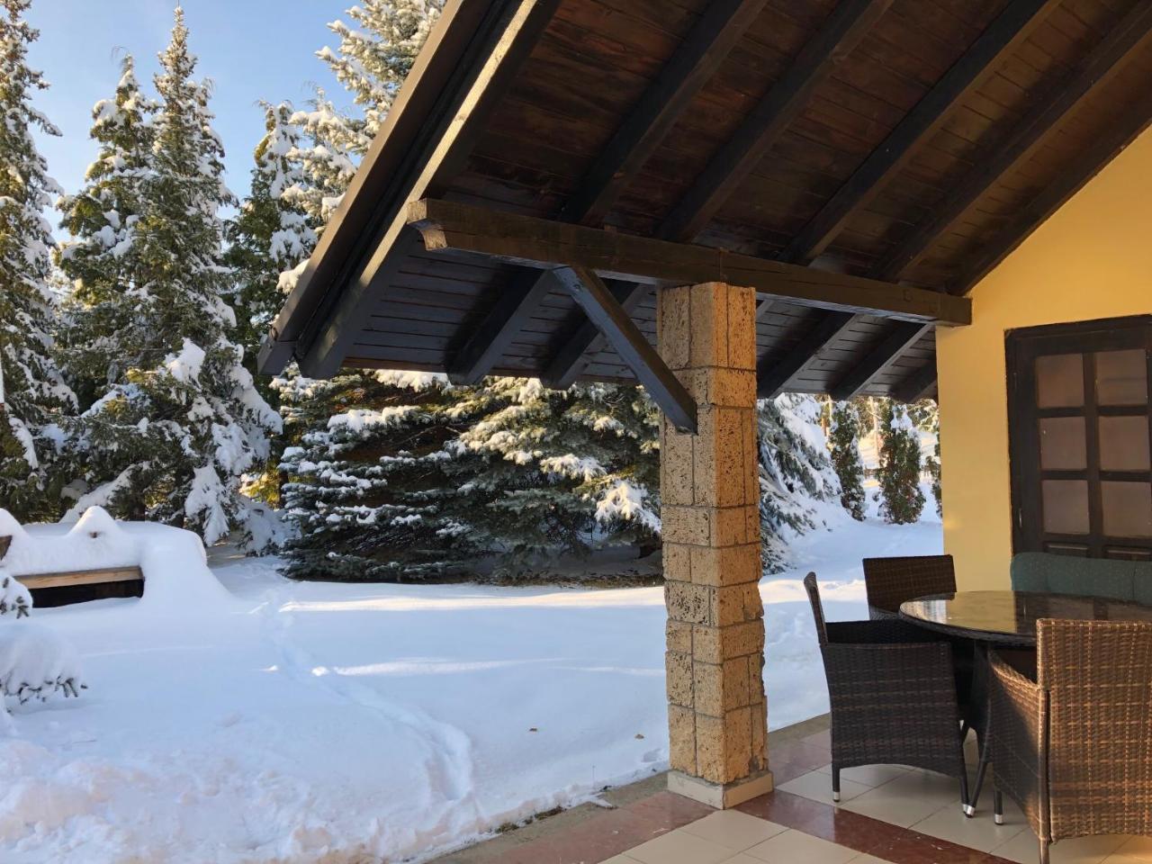Holiday Home Vila Tejic Zlatibor Extérieur photo
